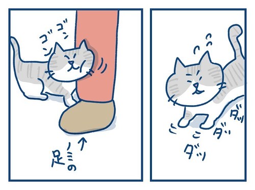 「思っていたのとちがう！　猫の芸の話」「思っていたのとちがう！　猫の芸の話」