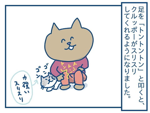 「思っていたのとちがう！　猫の芸の話」