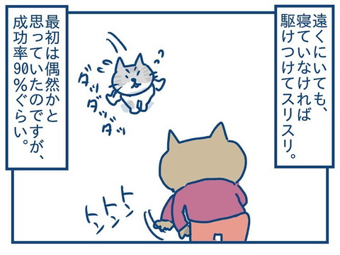 「思っていたのとちがう！　猫の芸の話」