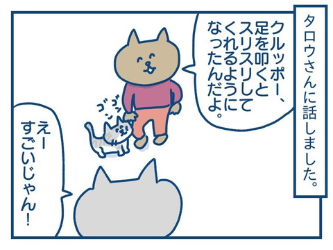 「思っていたのとちがう！　猫の芸の話」
