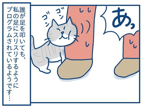 「思っていたのとちがう！　猫の芸の話」