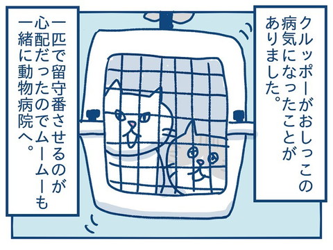 「猫のきょうだい愛の話」