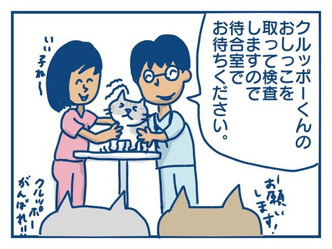「猫のきょうだい愛の話」