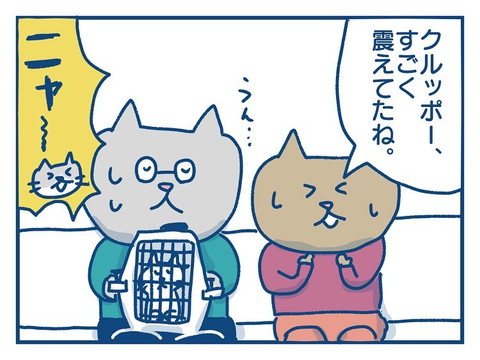 「猫のきょうだい愛の話」