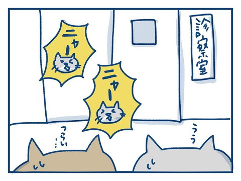 「猫のきょうだい愛の話」