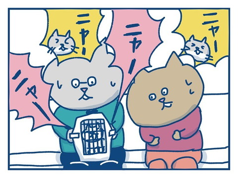 「猫のきょうだい愛の話」