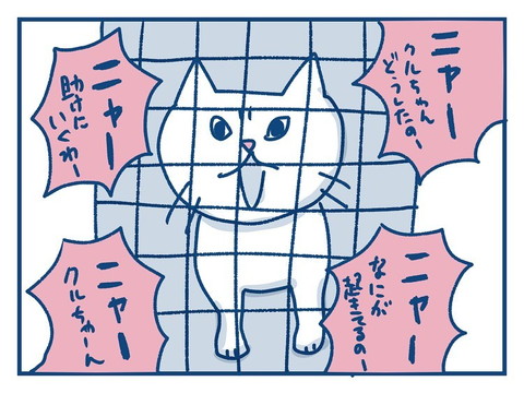 「猫のきょうだい愛の話」