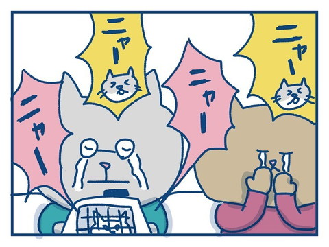 「猫のきょうだい愛の話」