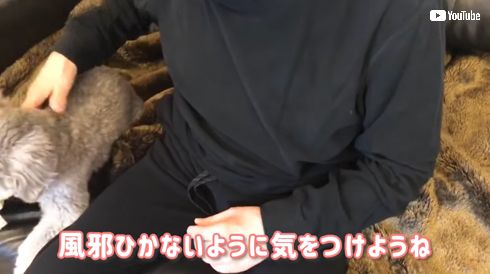 加藤綾菜 加藤茶 購入品 夫婦