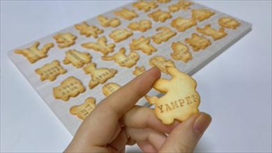 たべっ子どうぶつ ポケモン