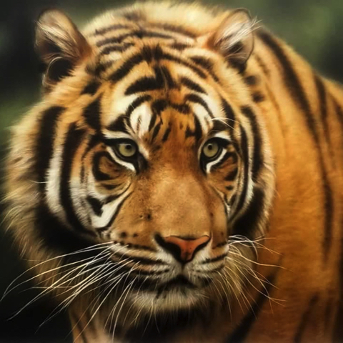 スーパーリアリズムな人物画