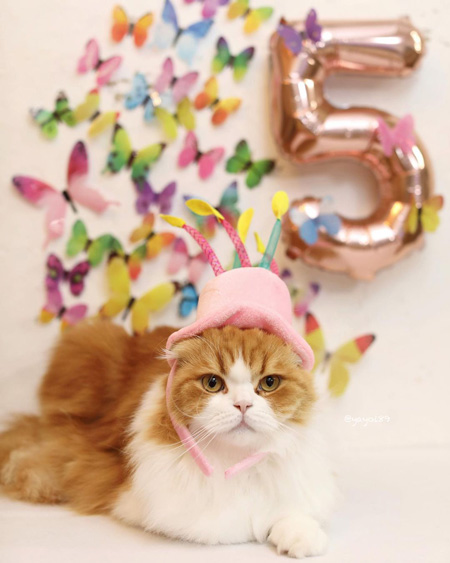 バースデータラちゃん