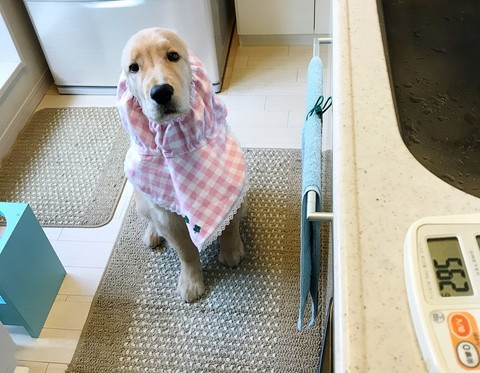 「コメリョーシカ」