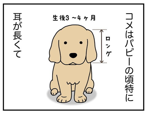 「耳の長い犬」