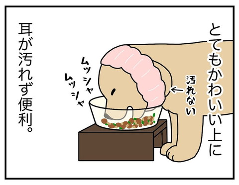 「耳の長い犬」