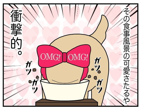 「耳の長い犬」