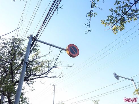 県道で見かけた大型の「駐車禁止」