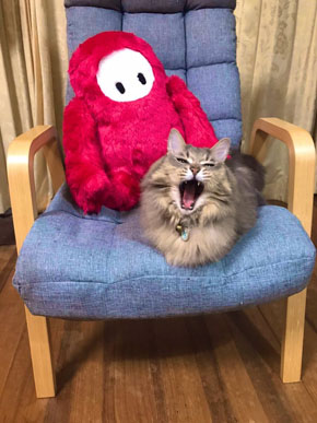 フォールガイズ