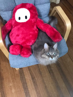 フォールガイズ