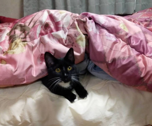 足風邪タカヤさん