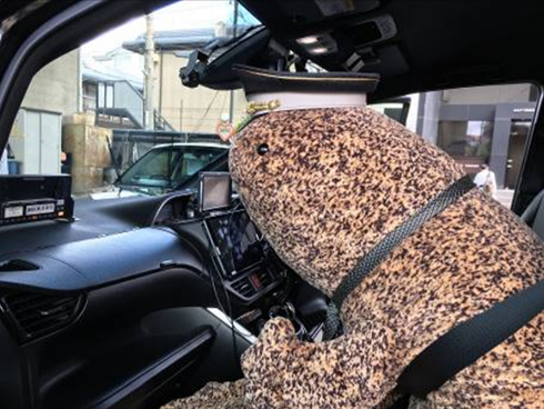 オオサンショウウオ