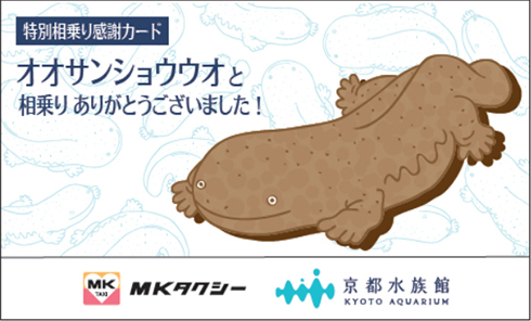 オオサンショウウオ