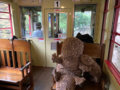 オオサンショウウオ