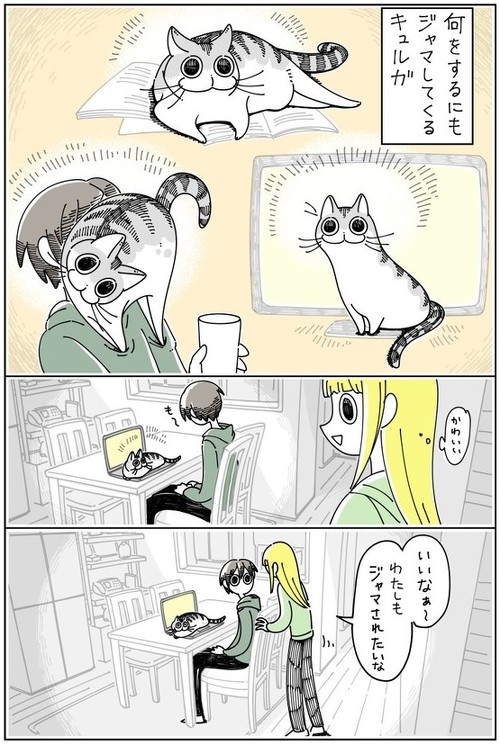 ジャマしたいネコ