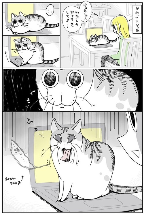 ジャマしたいネコ