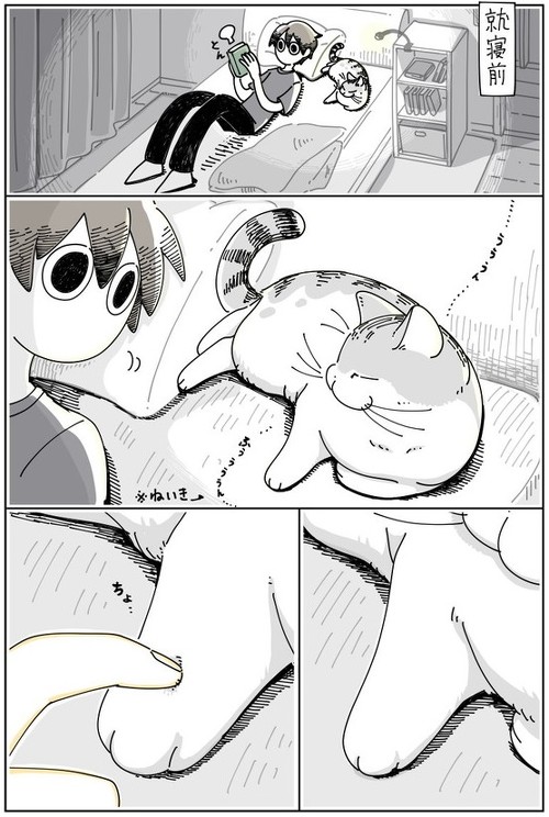 「寝てるネコにちょっかい出したくなる」
