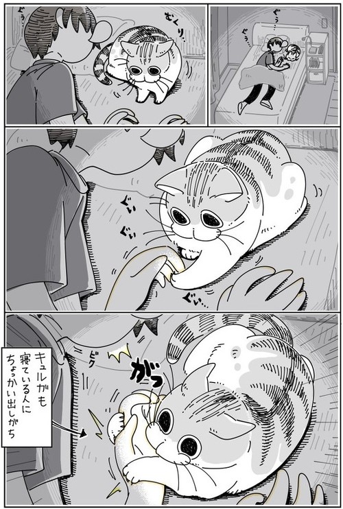 「寝てるネコにちょっかい出したくなる」