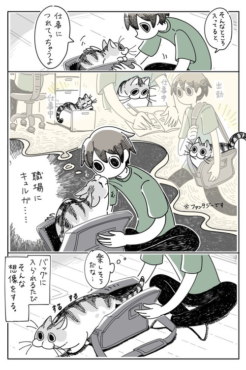 「バッグに入るネコ」