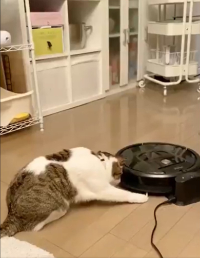 藤乃かごめさん