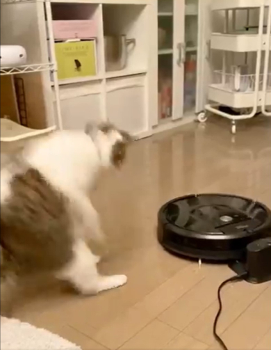 藤乃かごめさん