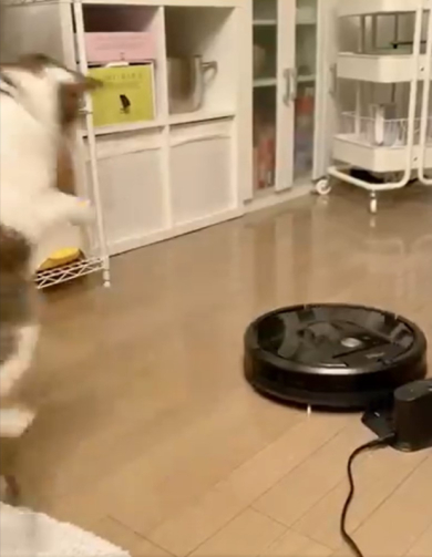 藤乃かごめさん