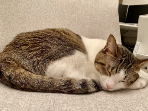 藤乃かごめさん