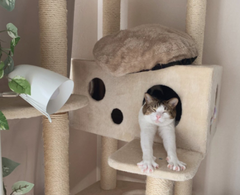 藤乃かごめさん