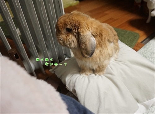 もんじももじじ