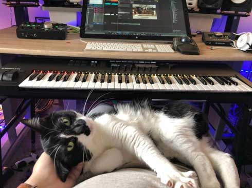 猫がゴロゴロよろこぶCDブック 猫専用 ヒーリングミュージック ネコ研究 響介