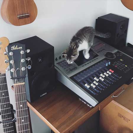 猫の呼吸 画面 切り替わる PC パソコン お昼寝 スリープ