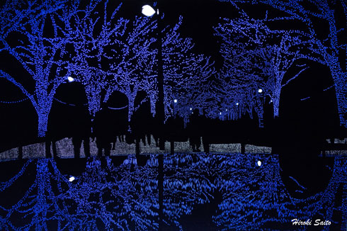 切り絵 黒い紙 デザインナイフ 風景 夜景 斉藤洋樹