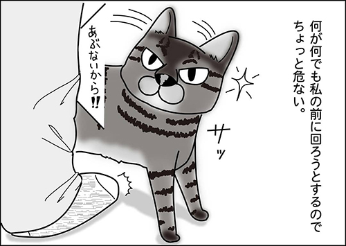 肩乗り猫やる気編4