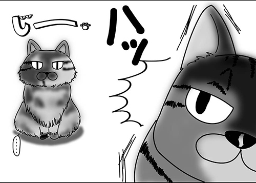 肩のり猫3