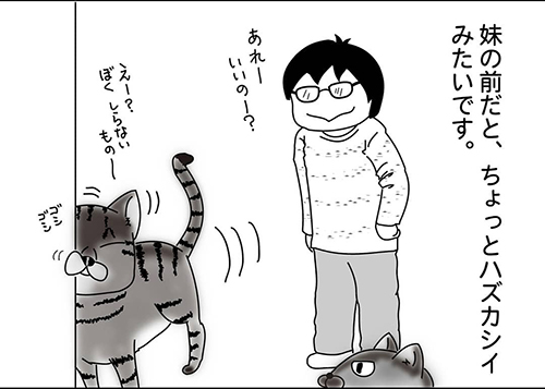 肩のり猫4