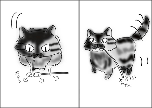 遊びたいアンちゃん1