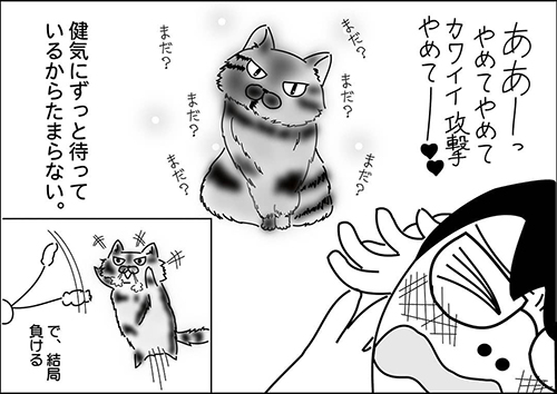 遊びたいアンちゃん4