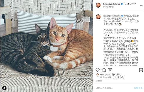 吉川ひなの 肉食