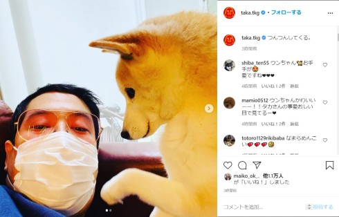 タカ タカアンドトシ ウンチャン 柴犬 豆柴