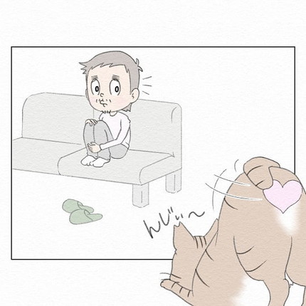 スリッパにじゃれるシャコちゃん