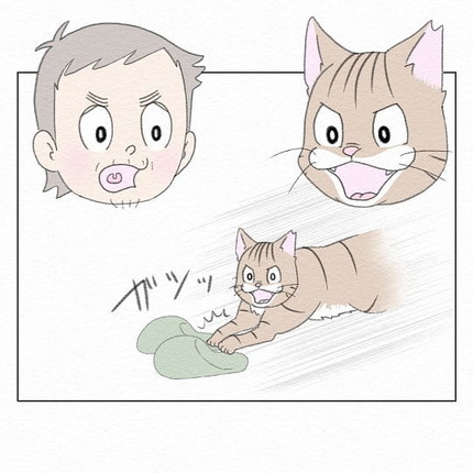 スリッパにじゃれるシャコちゃん